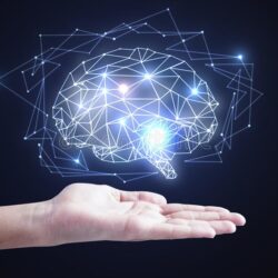 Reprogramming / Re-programación neuronal